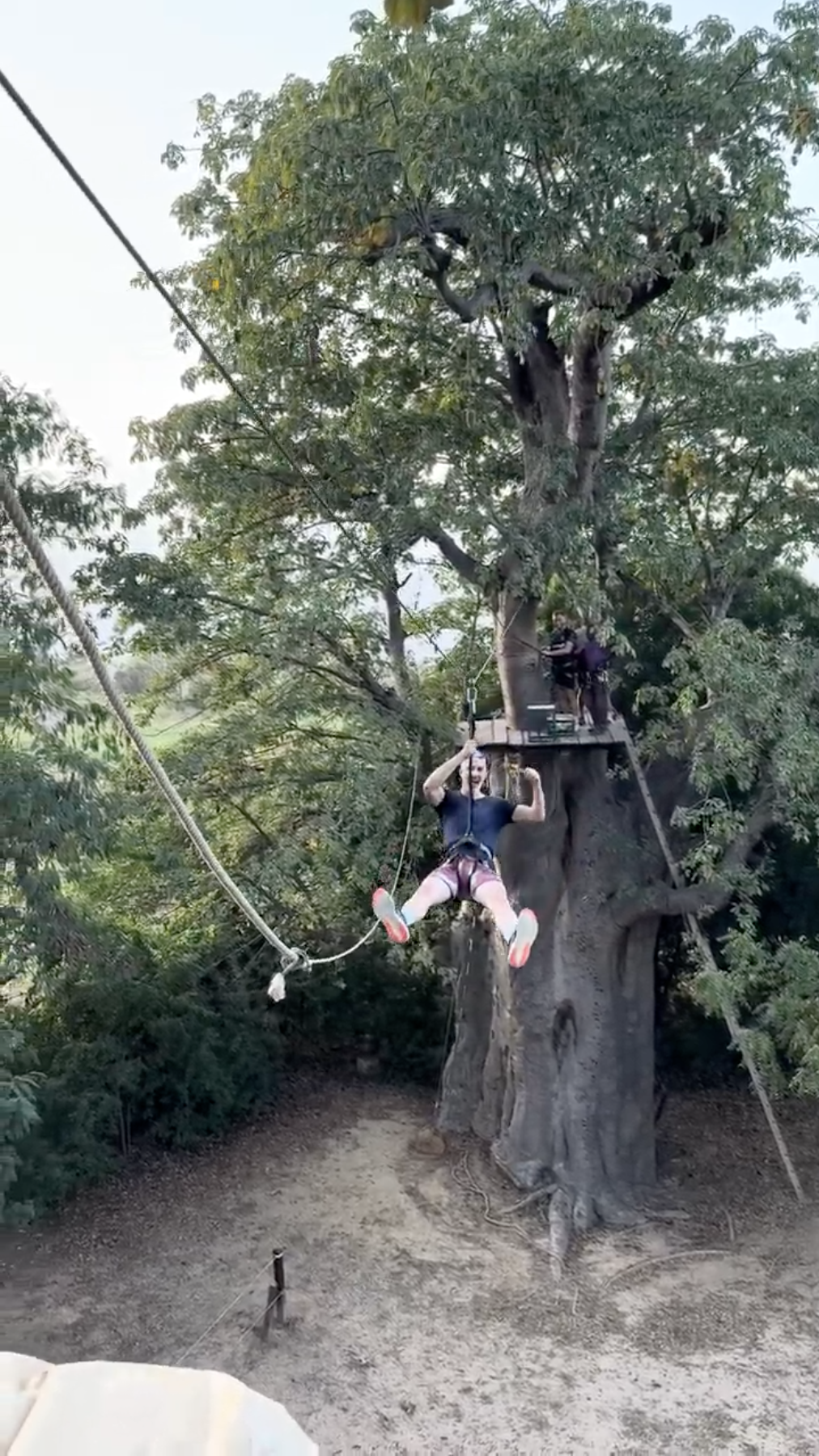 Tyrolienne baobab
